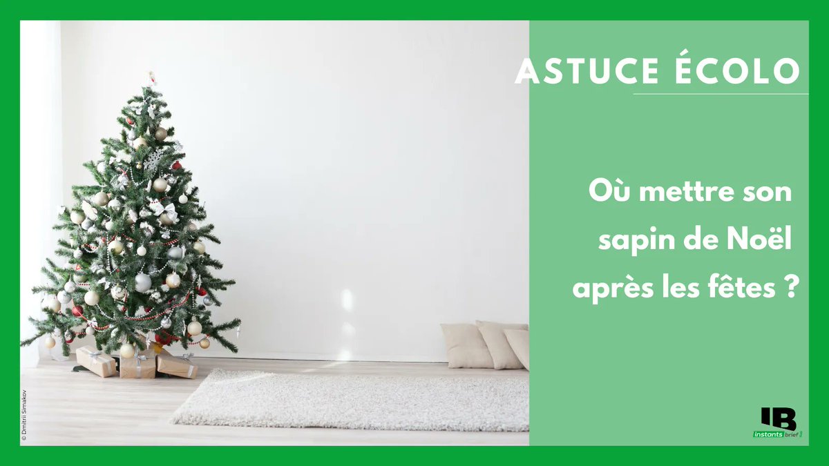 Où mettre son sapin de Noël après les fêtes quand on a des valeurs #ecoresponsables ? 🌍 Le transformer en #compost ♻, en faire du pillage ... les #solutions ne manquent pas. 

👉 Découvrez comment recycler votre sapin sur notre site web : buff.ly/3HK7z88

#ecolo