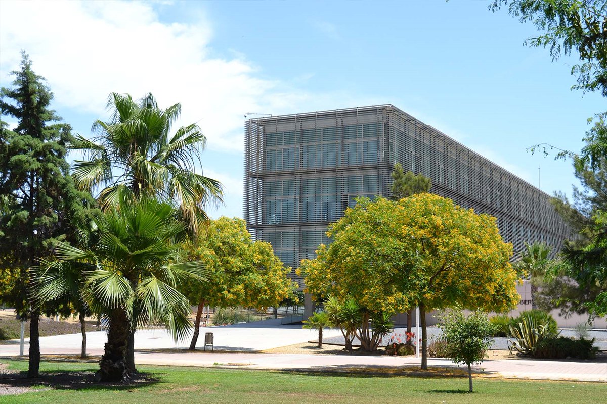 ualmeria's tweet photo. ¡Navidad con ☀️!
#soyUAL #UAL #campusUAL https://t.co/weXS9Bdu5z