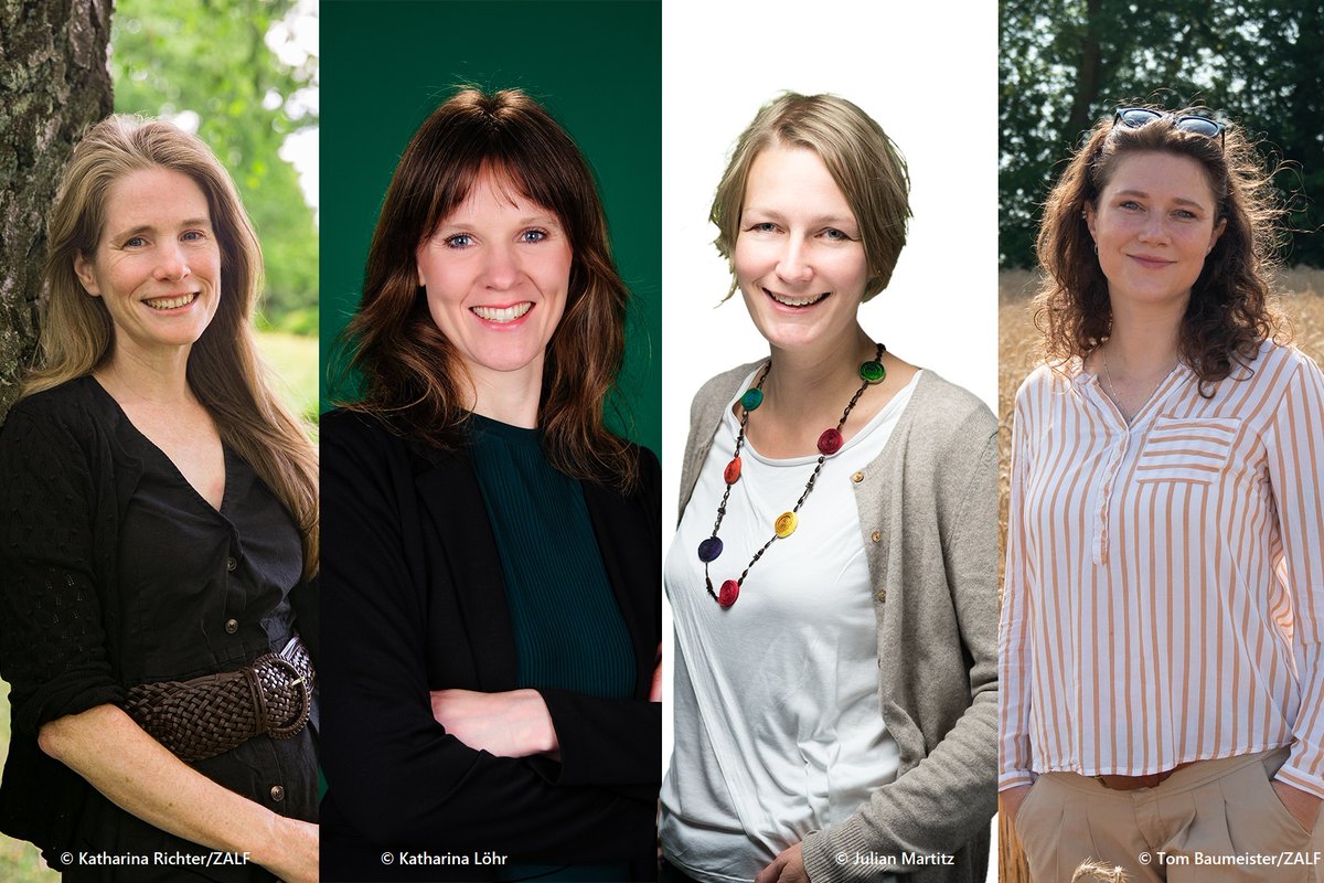 zalf_leibniz's tweet photo. Four of our women ZALF scientists have been nominated by the @LeibnizWGL to join @AcademiaNet_org. 🥳
We congratulate @hwebber8, Katharina Löhr, @baschroeter and @KGraham87 for their achievement! 💐🎉🥂   
https://t.co/lcnfHQSsqI https://t.co/YQyvYi2tvc