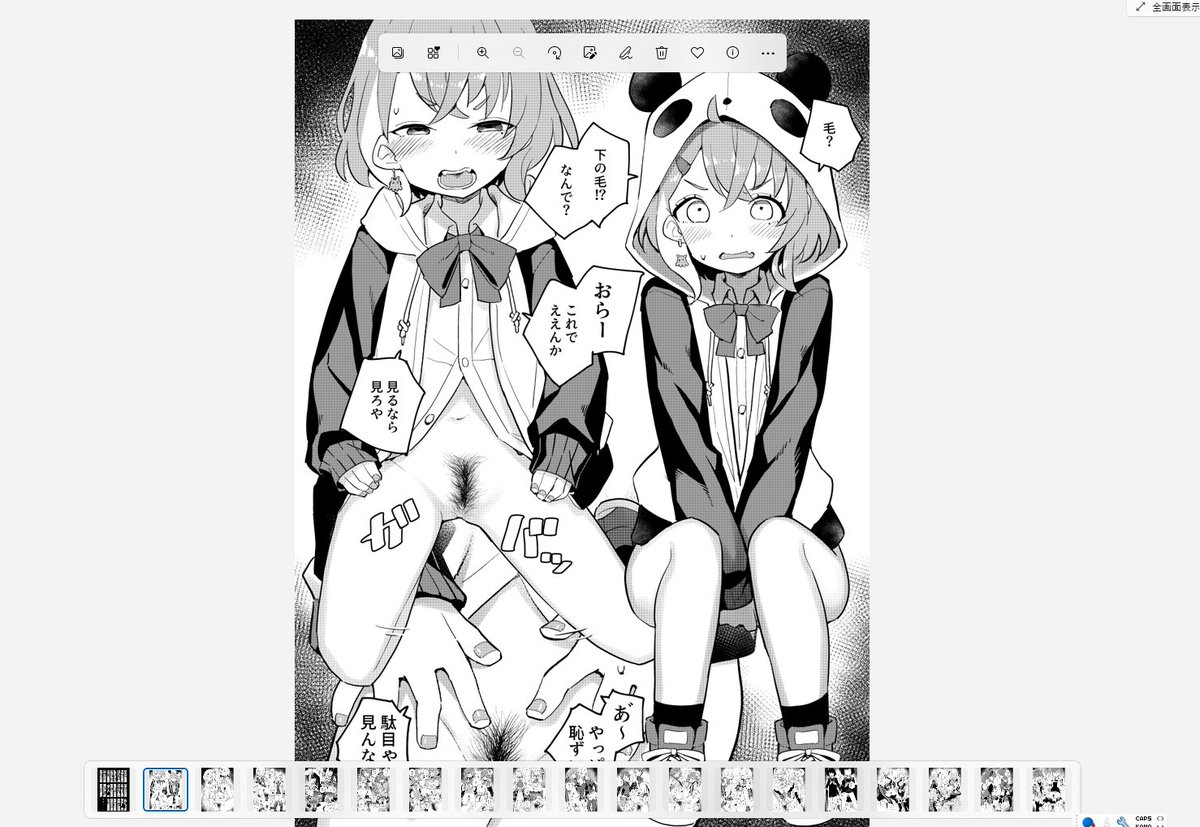 Windows11のデフォルトビュワーがこんななんだけど、画像使ったことない人が考えたのかな 