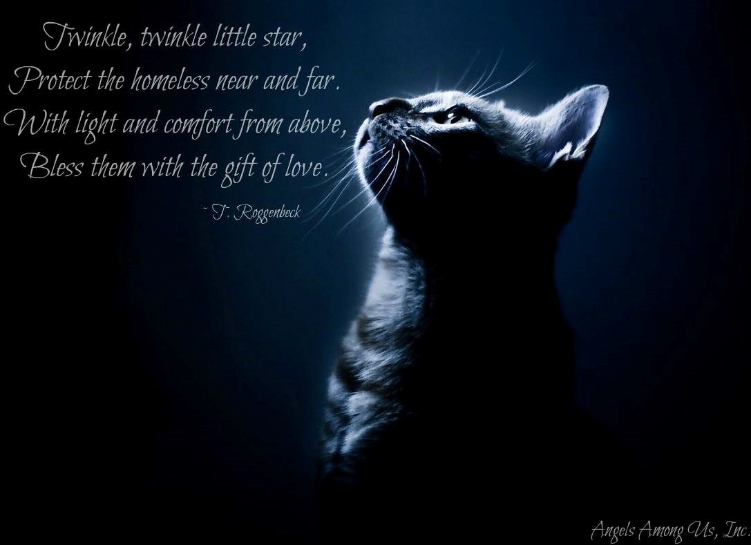 Margie Shafer (@margieshafer) on Twitter photo 