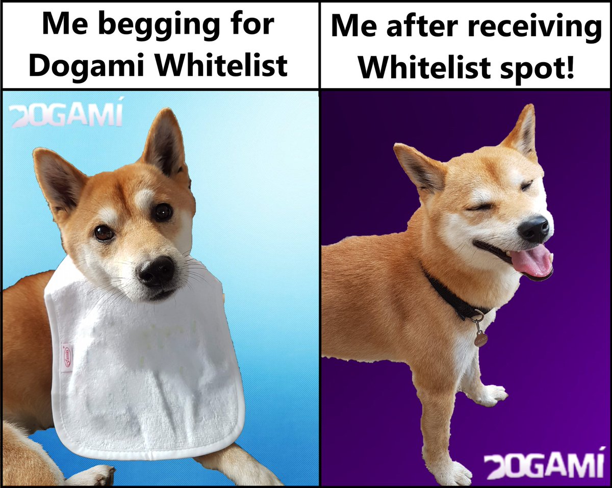 HRienen's tweet photo. My entry for the @Dogami meme-contest. Thanks to my Doge Chiko 🐶👌
#DogaMeme 
#MemeContest 
#Dogami https://t.co/DrcOGk5hCa