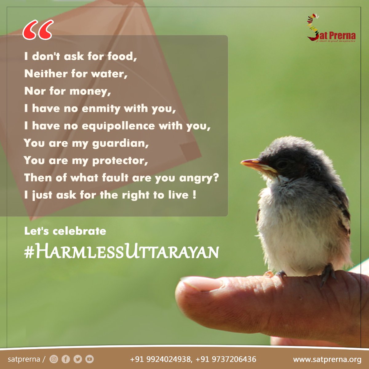 Satprerna's tweet photo. 𝐇𝐚𝐫𝐦𝐥𝐞𝐬𝐬 𝐔𝐭𝐭𝐚𝐫𝐚𝐲𝐚𝐧
I don't ask for food, 
Neither for water, 
Nor for money, 
I have no enmity with you,
I have no equipollence with you,
You are my guardian, 
You are my protector,
Then of what fault are you angry? 
I just ask for the right to live!

#satprerna https://t.co/Vy8IZYX65v