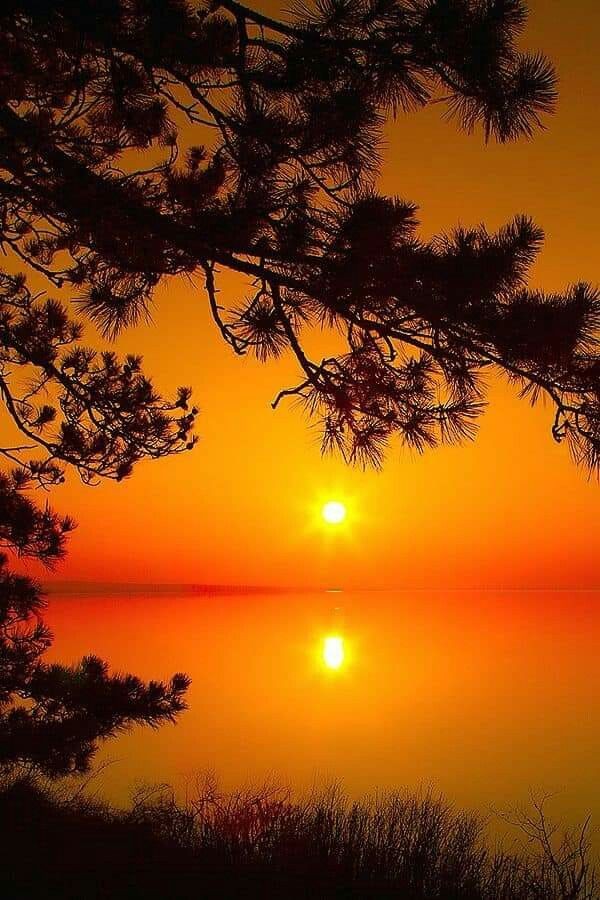 Luca Dantonio tweet media