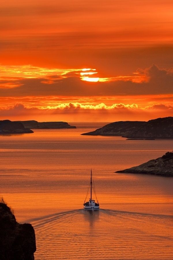 Luca Dantonio tweet media