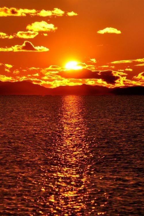 Luca Dantonio tweet media