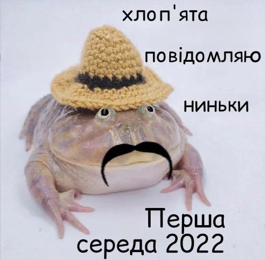 FIVWdcwXoAAhtGC?format=jpg&name=small