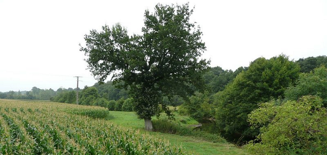 C'est une première pour Solagro ! L'association dépose une fiche #CEPP. Les distributeurs pourront l'obtenir en suivant une formation portant sur les aménagements et pratiques favorisant la régulation naturelle des ravageurs. Plus d'info ici ! 👇

reference-agro.fr/solagro-une-fi…