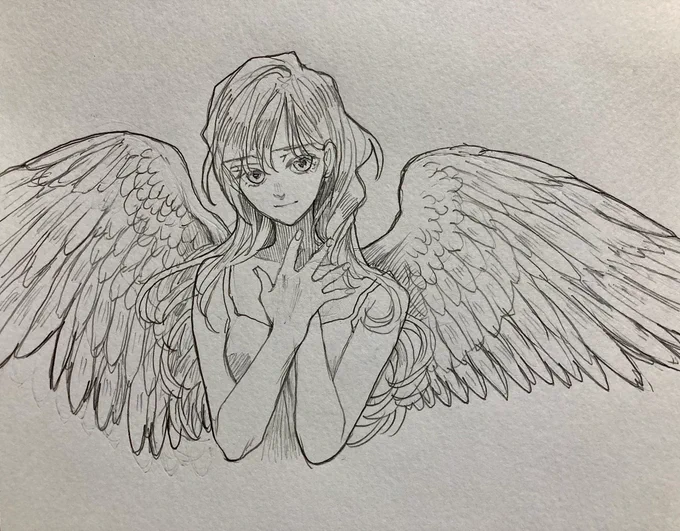 天使の翼は猛禽類の翼がモチーフらしい 翼の描き方は色々あるけど、個人的には 西洋絵画のような猛禽類の翼が好みです🪶  #天使 #羽根 #翼 #落書き #rkgk