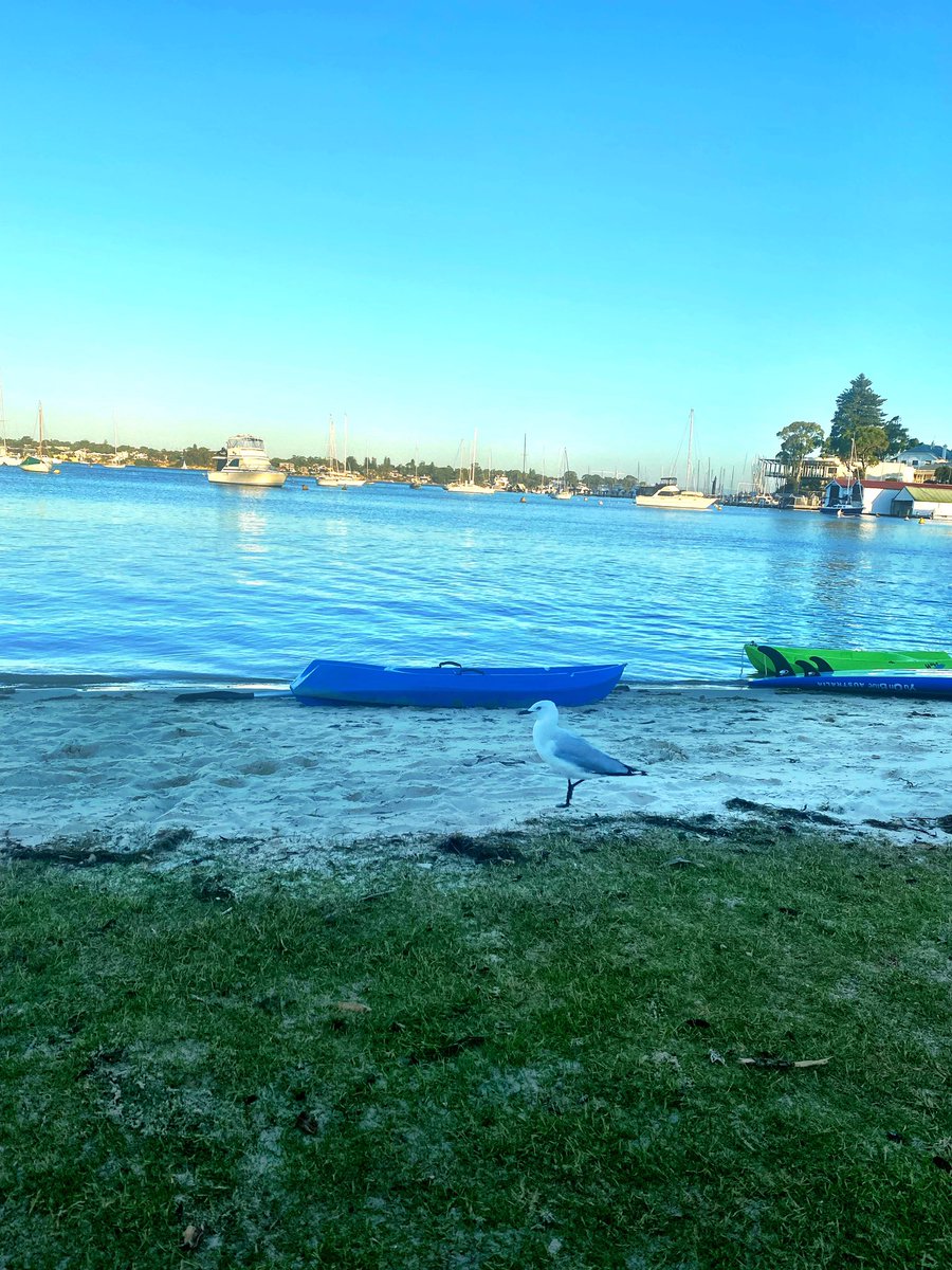 kelstar220's tweet photo. Just chilling for the sun to go down so we can go scooping for crabs 🦀 #peppermintgrove #crabbing #swanriver https://t.co/9e45kQ08Q8