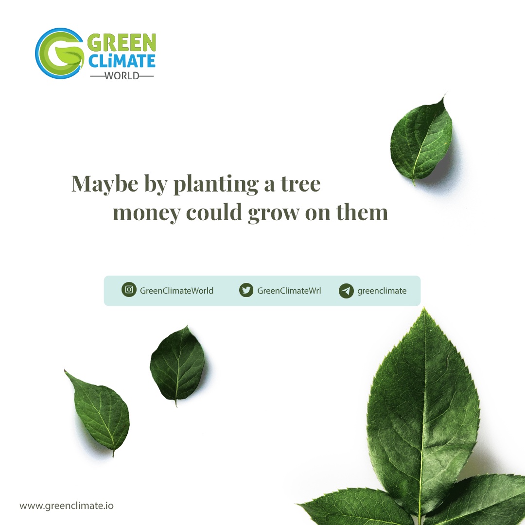 linktr.ee/greenclimate 🌱🌲🌍

#nature #green #climate #world #naturelovers #project #blockchain #cryptocurrency #life #WGC #WGCToken #greenclimateworld #plant #tree