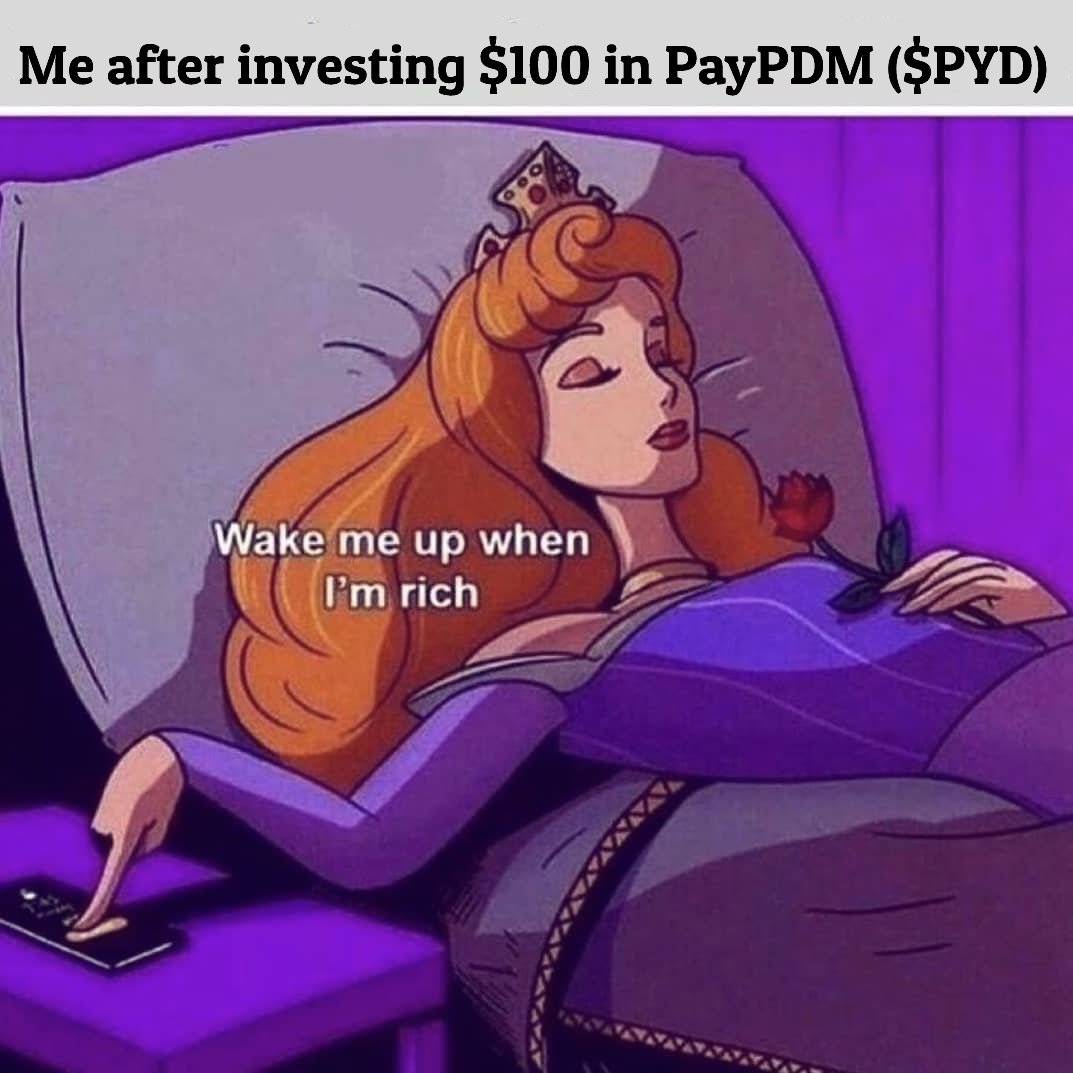 paypdmofficial's tweet photo. Sell everything and buy PayPDM $PYD 📊🚀
We hittin' spotlight within the #Year2022 

Telegram: https://t.co/2veMhMtwzD 

Trade Link: https://t.co/fAv3psMEVS https://t.co/DrKixlJiXu