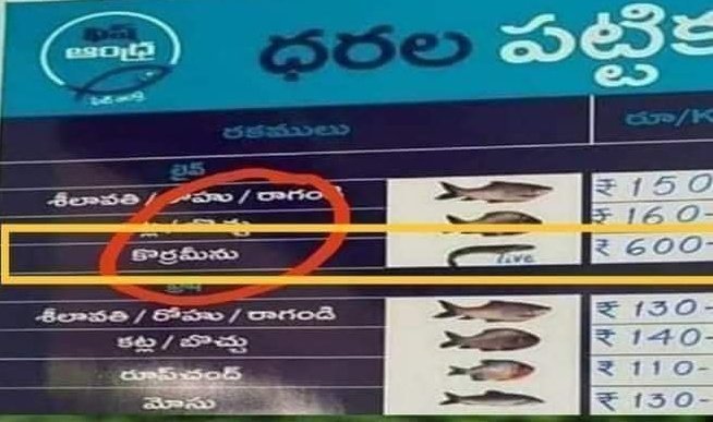 Iampillodu's tweet photo. @perni_nani saar nenu peeda vadni sir naku koramenu tinalani undi konchem anna @ysjagan tho matladi ratelu tagginchava. 
@RGVzoomin https://t.co/eQ3SZGDFId