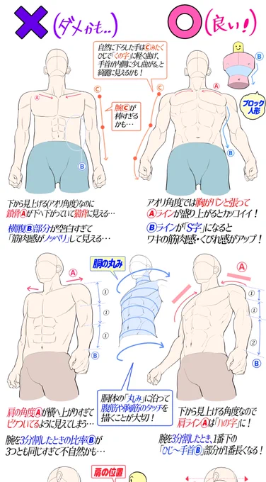 細マッチョ体型をデッサンする⭕️❌図解 