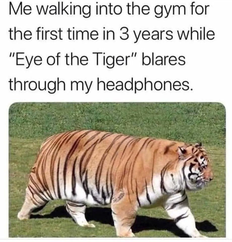FIVZg17XMAkKNC5?format=jpg&name=medium