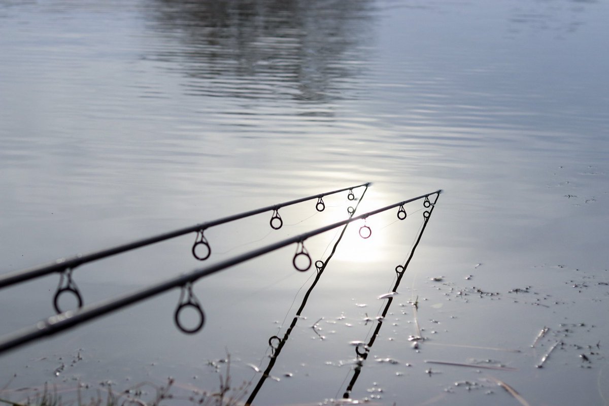 Infantrycarpers tweet media