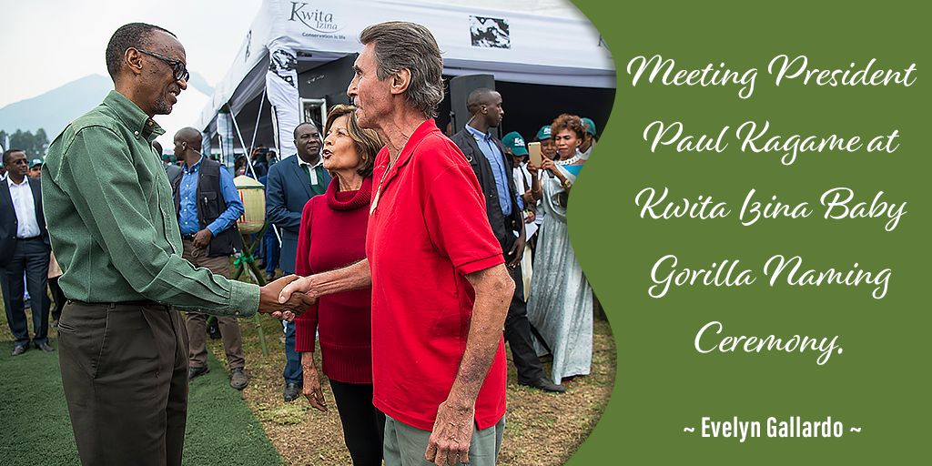 EvelynGAuthor's tweet photo. It’s an exciting event enough to attend a Kwita Izina Gorilla Baby Naming Ceremony much less meet the President of Rwanda, a country I dearly love.

Download the first chapter of my book “Voices from the Mist: The Last Days of Dian Fossey” at https://t.co/vQKsNBEhHO . https://t.co/XZrchgP91Q