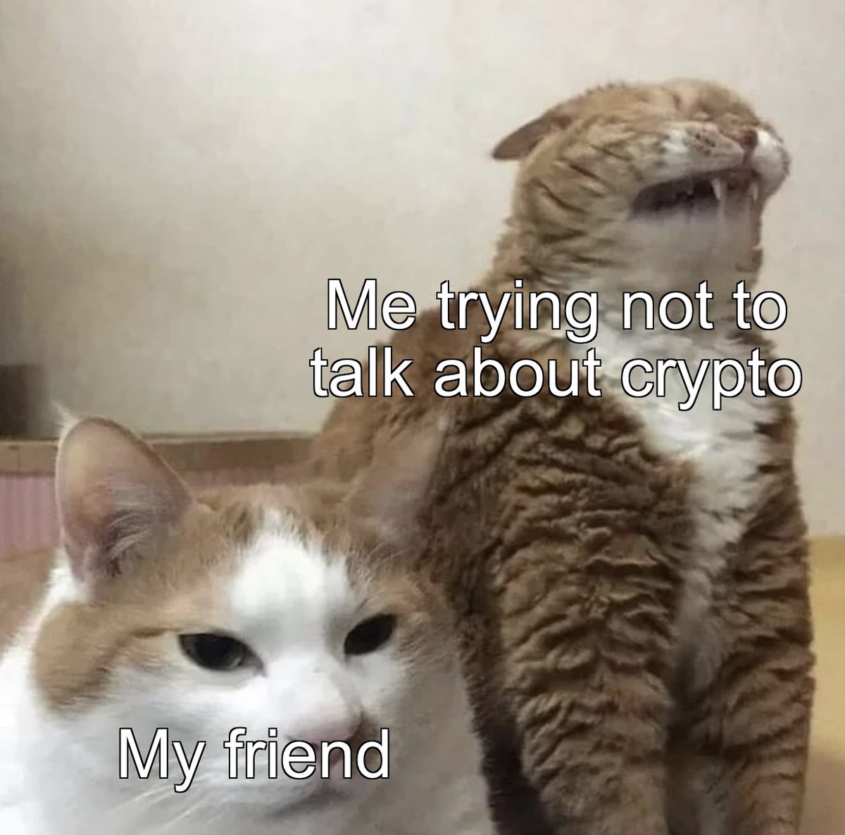 DiscoverCrypto's tweet photo. It's all I really know 😬 https://t.co/9PecsZNeMC