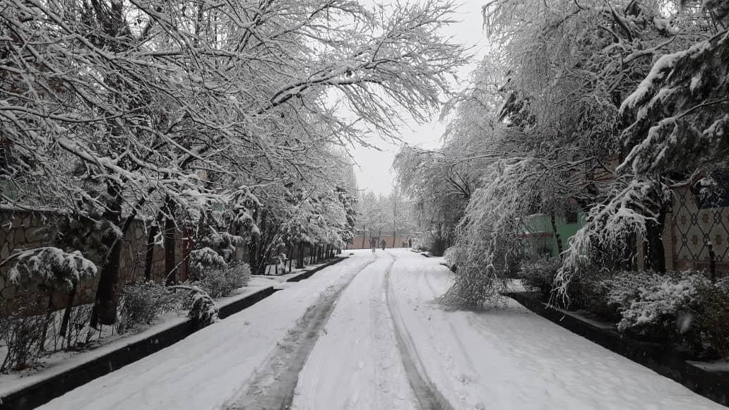 TOLOnews's tweet photo. په کابل ښار کې د واورې یو څو انځورونه
#طلوع‌نیوز https://t.co/M08ZOmecOb