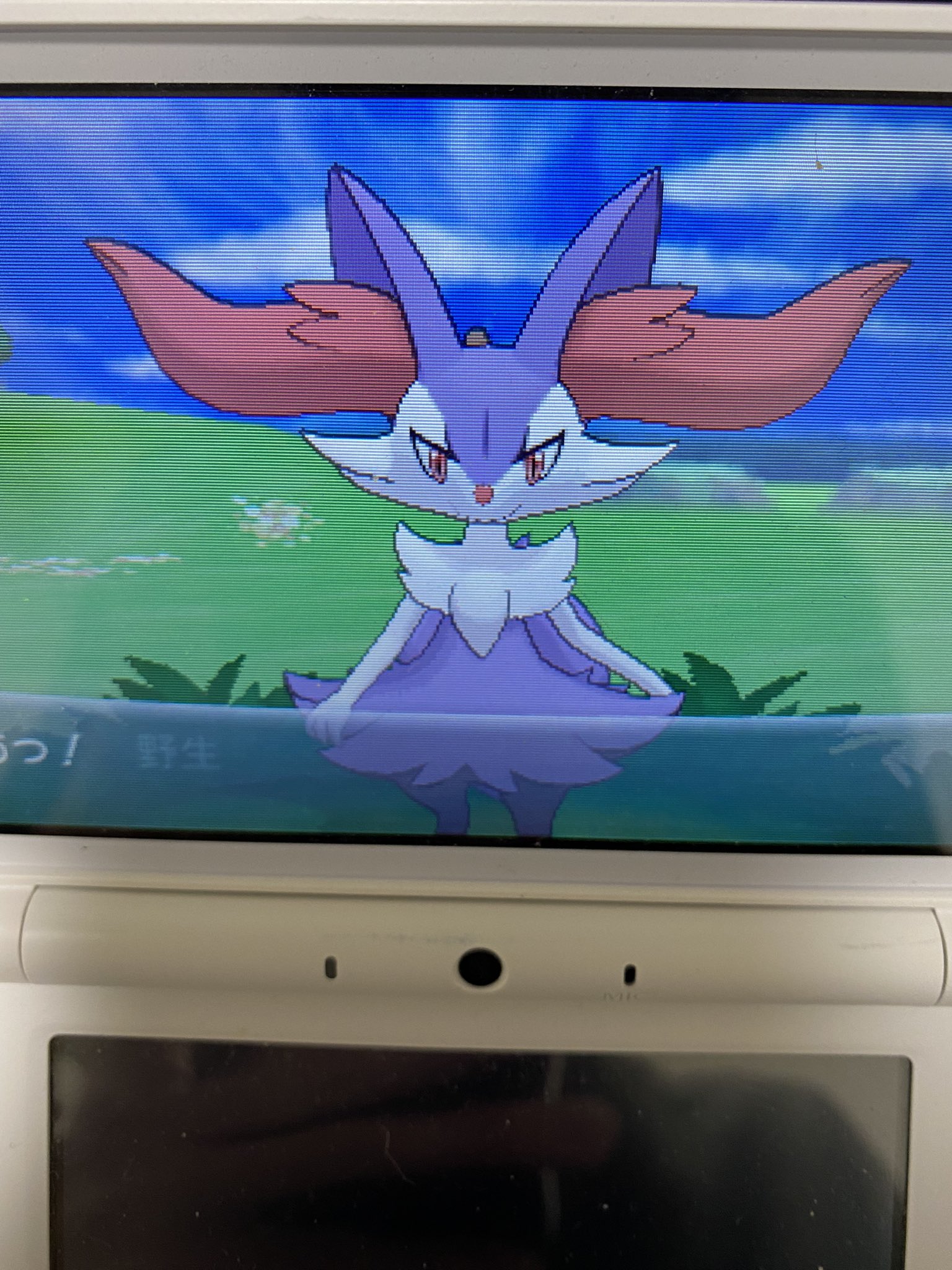 しき ポケモン用 祝推し色証 フレンドサファリで色違いのテールナーが出ました 早めのエンカウントで出てきてくれて驚きました 志貴の色違い日記 Xy フレンドサファリ T Co Eoqlxwzdeg Twitter