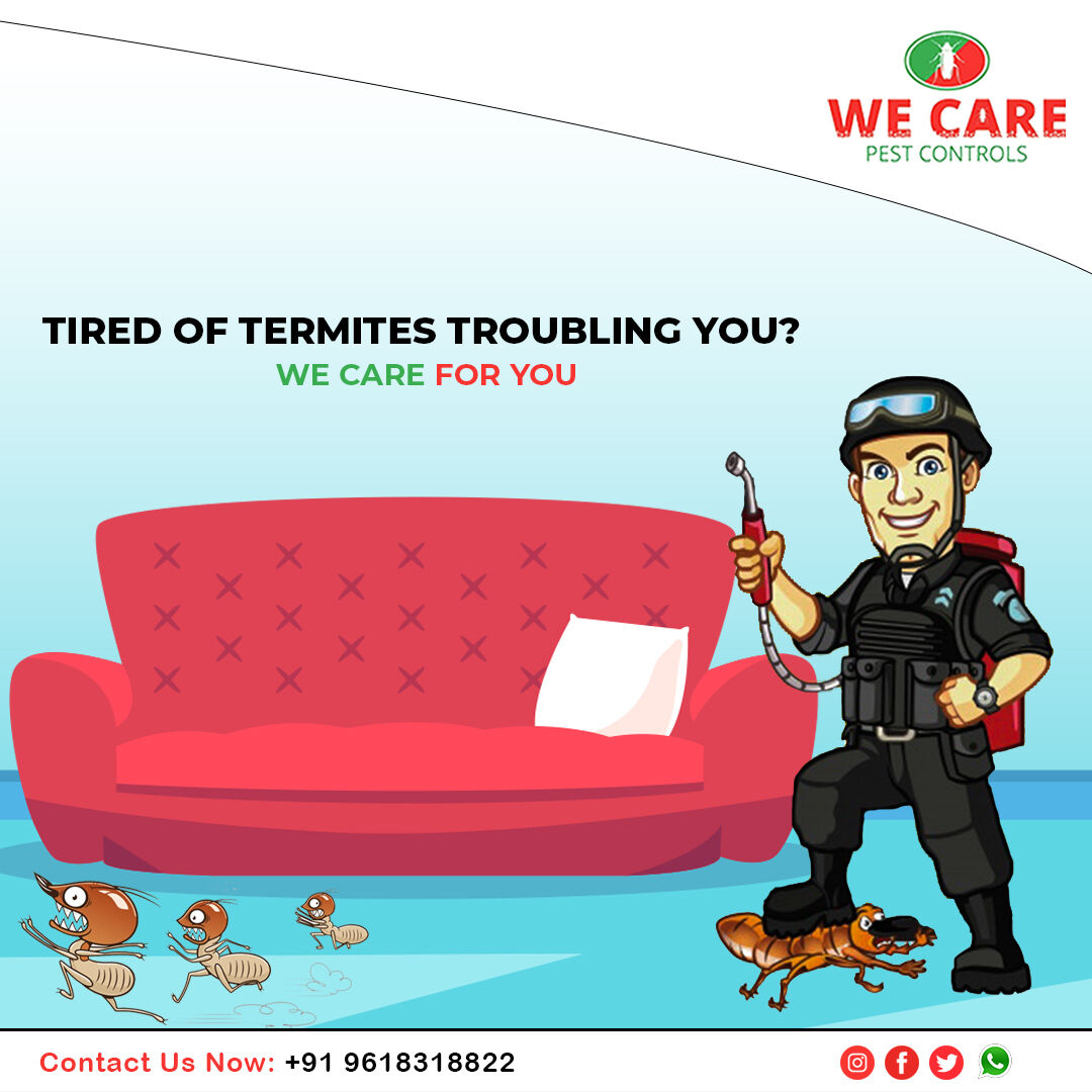 we_pest's tweet photo. We are always ready to come to your rescue.
.
.
.
#wecarepestcontrol #termite #termites #termitecontrol #termiteinspection #termitetreatment #termitedamage #termiteproof #termit #termitas #pestinspection #pests #pestcontrol #terracegarden #mydreamgarden #pestcontrolservice https://t.co/EES2Fa04Zc