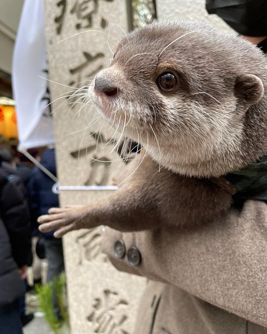 Otter Uchanさんのイラストまとめ Otter Uchanさんのイラストまとめ