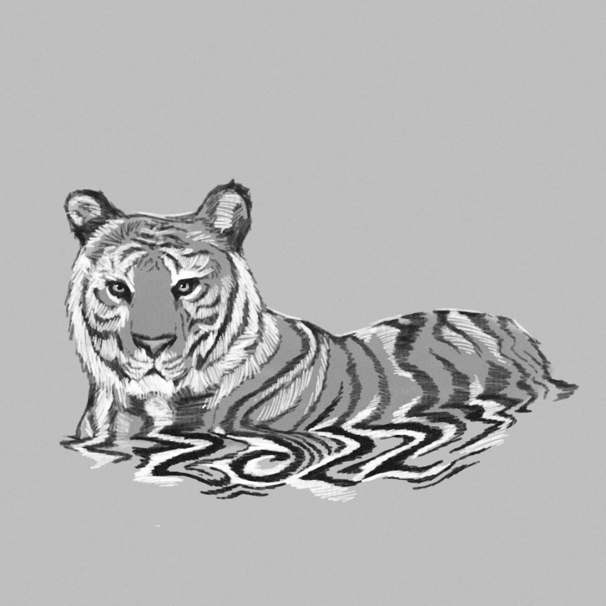 _bynicko's tweet photo. There couldn't be a more appropriate time to be sketching some tigers than this year of the Water Tiger 🐯 💦 🎇 https://t.co/BsNq1TdmzZ