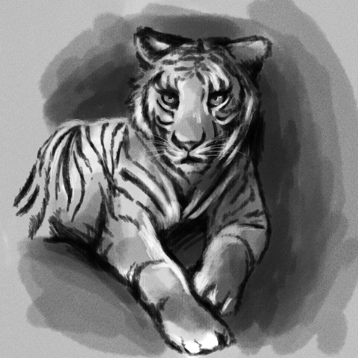 _bynicko's tweet photo. There couldn't be a more appropriate time to be sketching some tigers than this year of the Water Tiger 🐯 💦 🎇 https://t.co/BsNq1TdmzZ