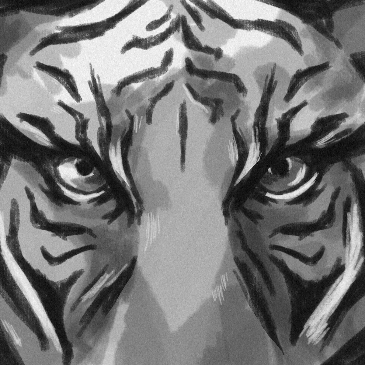 _bynicko's tweet photo. There couldn't be a more appropriate time to be sketching some tigers than this year of the Water Tiger 🐯 💦 🎇 https://t.co/BsNq1TdmzZ