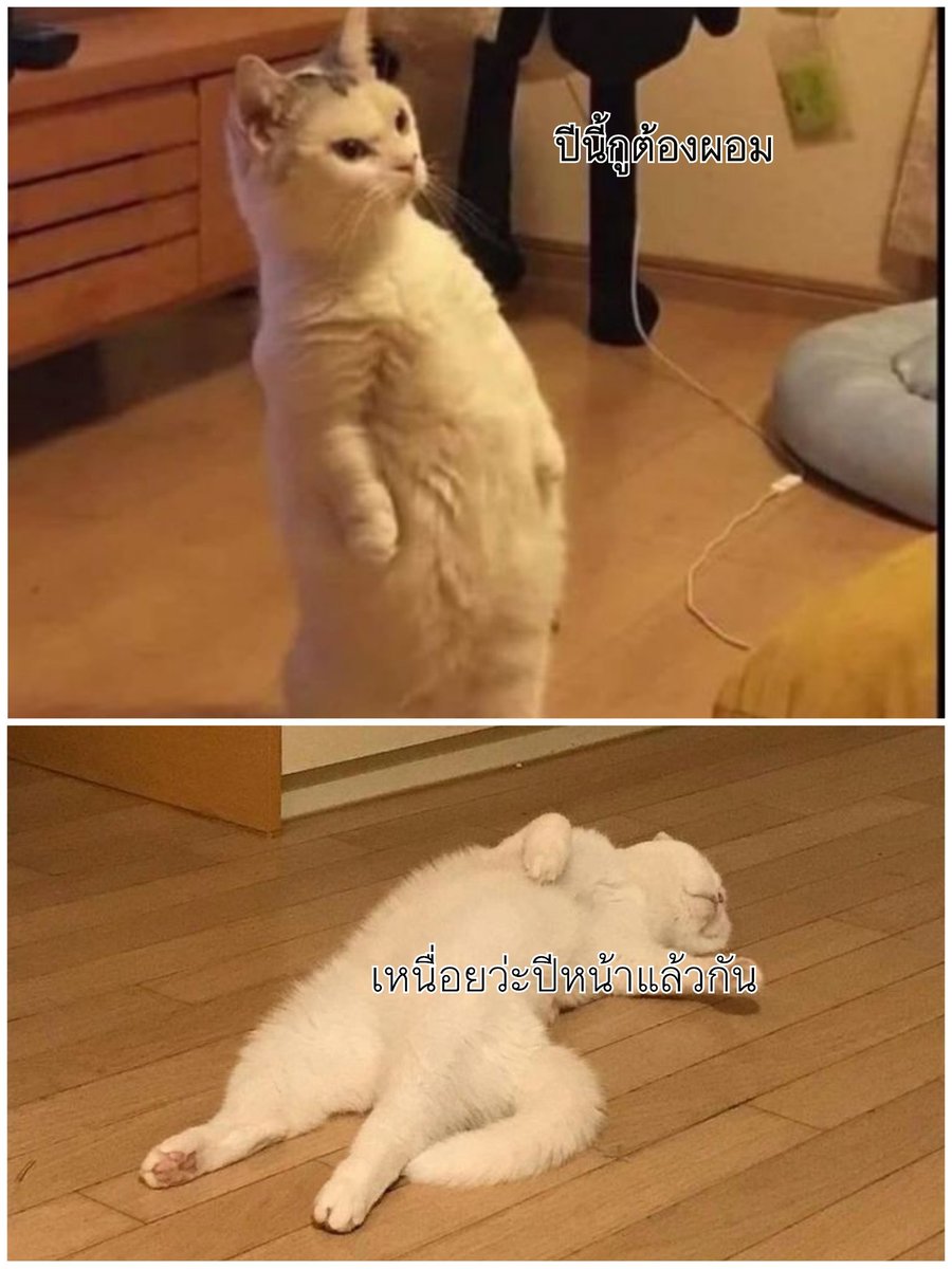 กูที่ตั้งใจจะลดน้ำหนัก