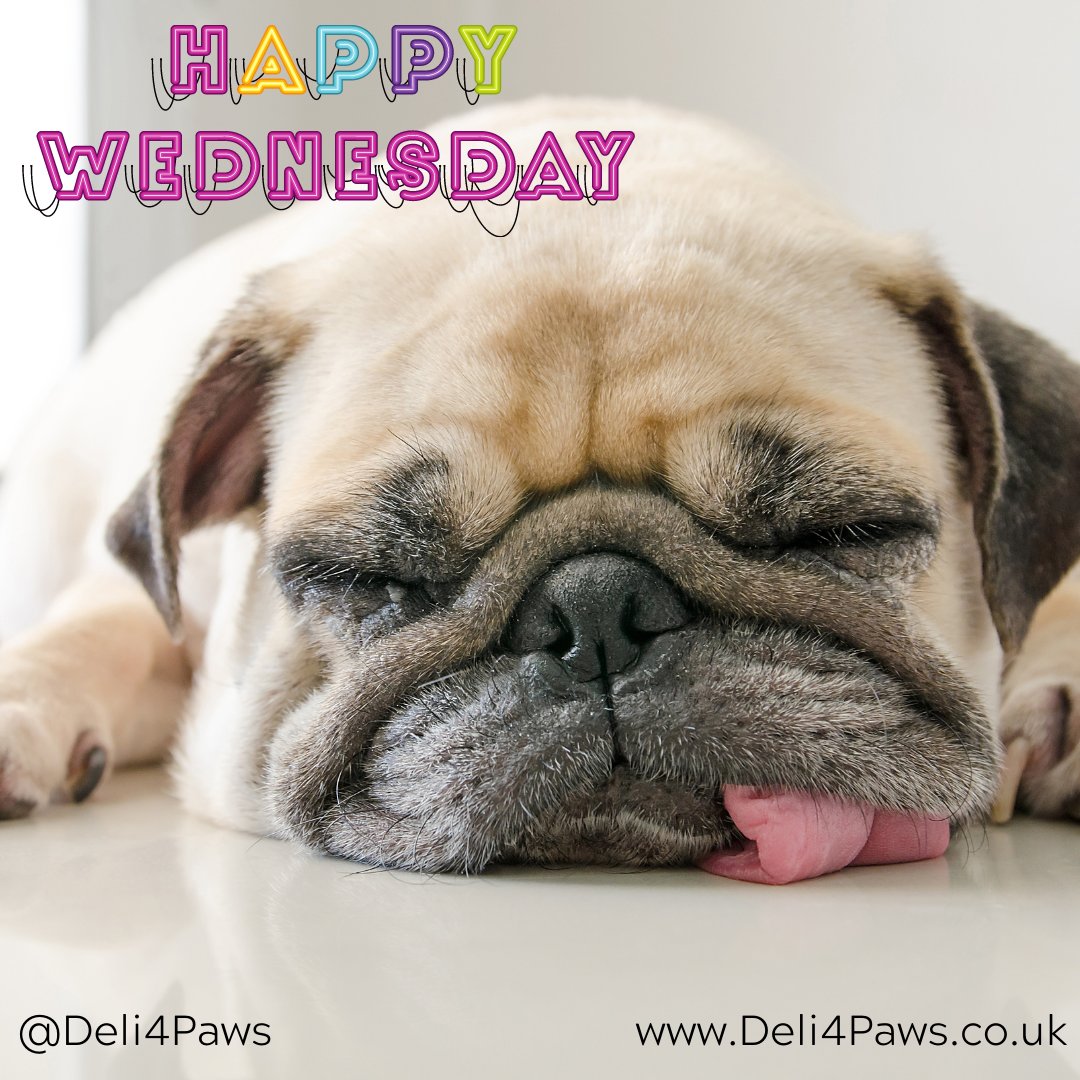 Ok, it cant be just us that’s looking forward to the weekend 😉

Visit Deli4Paws.co.uk to view our full range of cat and dog natural treats, gourmet snacks, hand baked dog bones &amp; biscuits as well as dog chocolate sweet treats. Happiness in a box! #Deli4Paws #Smallbizuk