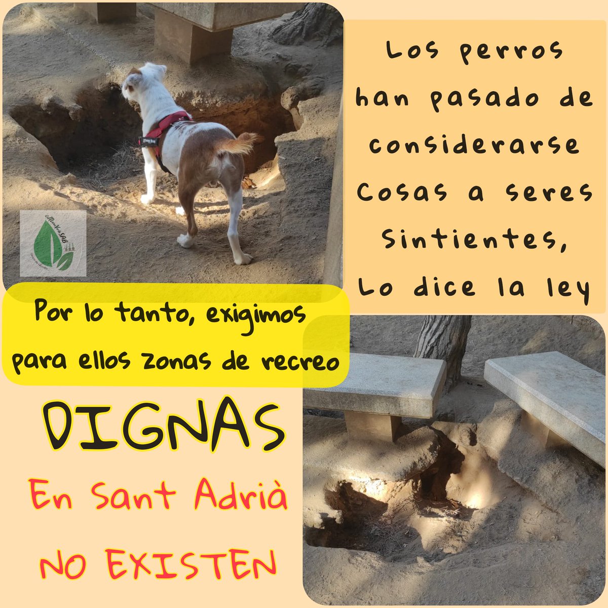 LaMareaVerdeSAB's tweet photo. Pipicans destrozados y construidos en Áreas Potencialmente Contaminadas. 
Ellos SÍ comen tierra del suelo Ruth Soto, ellos sí. 
Este año vamos a luchar para que nuestros perros tengan zonas de recreo seguras.
El @AjSantAdria pasa de ellos y #NoSonCosas son vidas. https://t.co/i27sPTcbaw