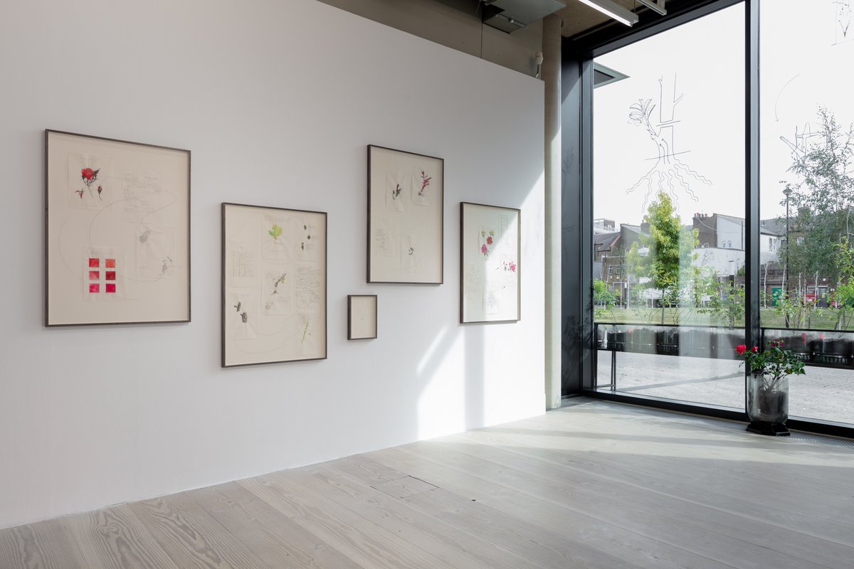 FPGSouthend's tweet photo. Happy New Year! We're pleased to be open again from today for the final two weeks of our current exhibition 'Tip of the Iceberg', which explores the relationship between art &amp; alternative growing practices. 

Exhibition continues until Sunday 16 January.

https://t.co/UOSOHZzY6N https://t.co/x1JpwrYVzI
