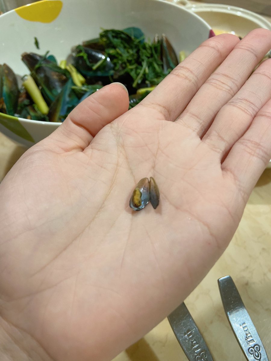 นี่เป็นหอยแมลงภู่ที่เล็กที่สุดที่กุเคยเห็นมาในชีวิต หายใจแรงไม่ได้ กลัวสูดเข้าไปในจมูก