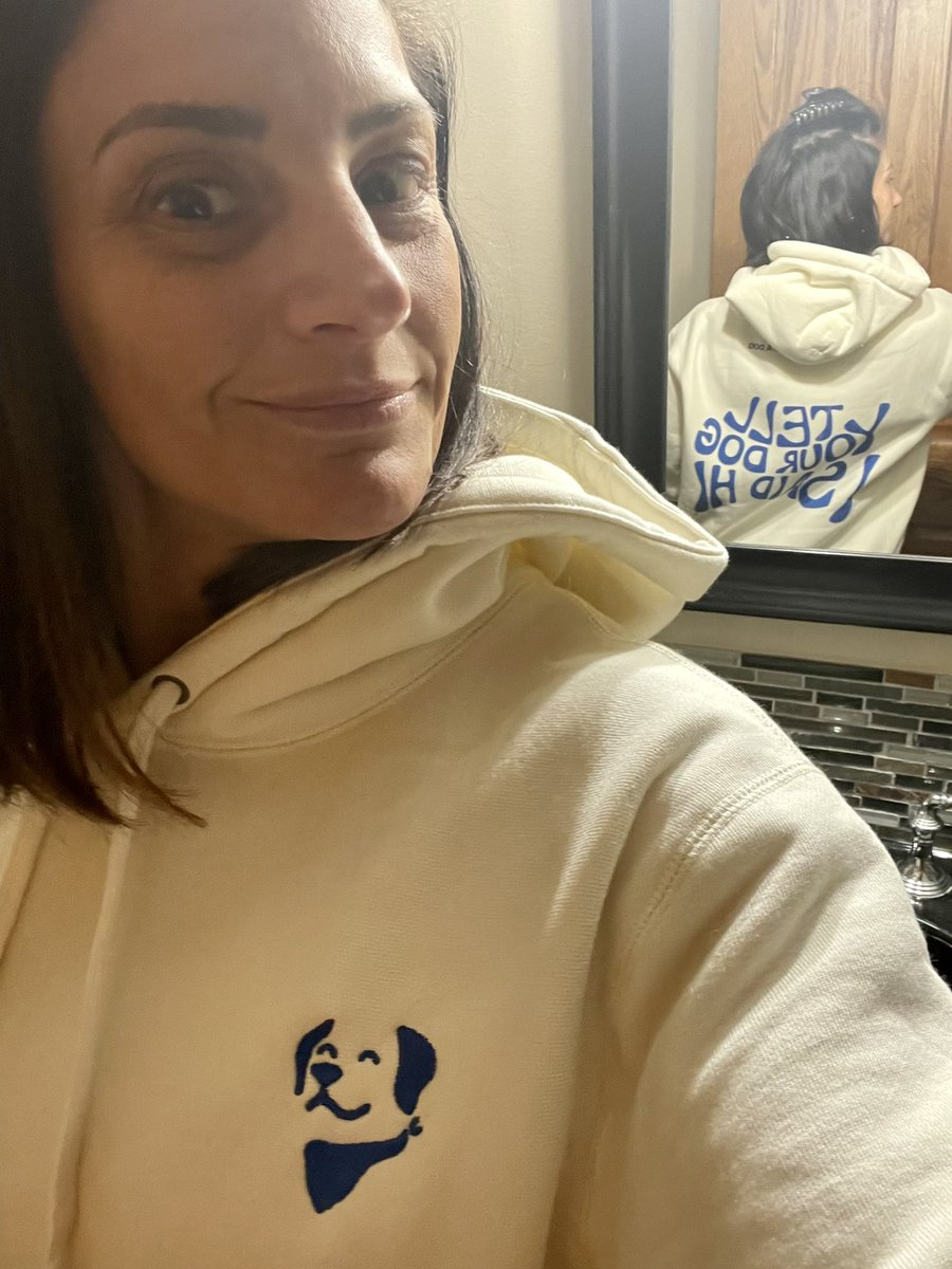 Love my new gear! #tellyoudogisaidhi <a href="/dog_rates/">WeRateDogs</a>