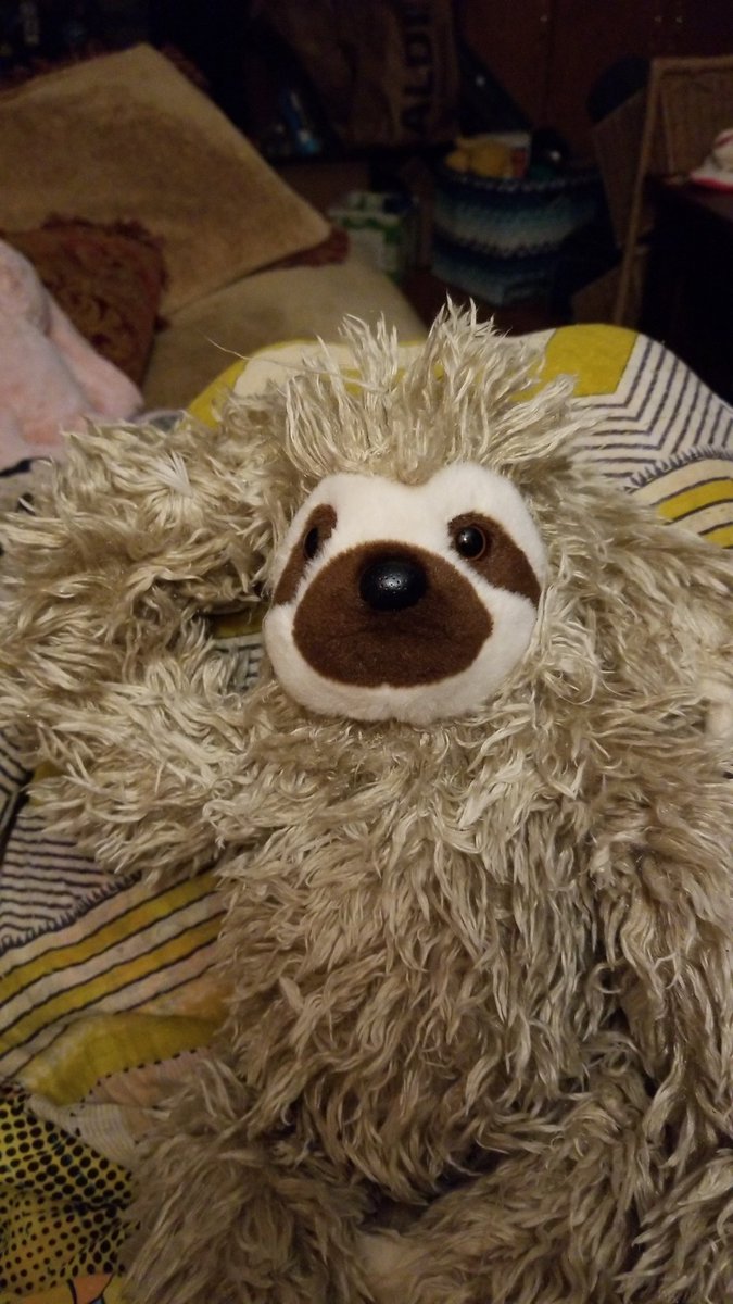 bartleby_sloth's tweet photo. Good .... morning. https://t.co/7tseBYb4CP
