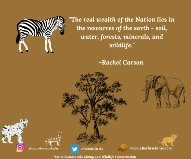 “The Real Wealth Of The Nation Lies In The Resources Of The Earth – Soil, Water, Forests, Minerals, And Wildlife.”

-Rachel Carson.