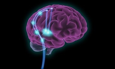 Professional Newco tweet media