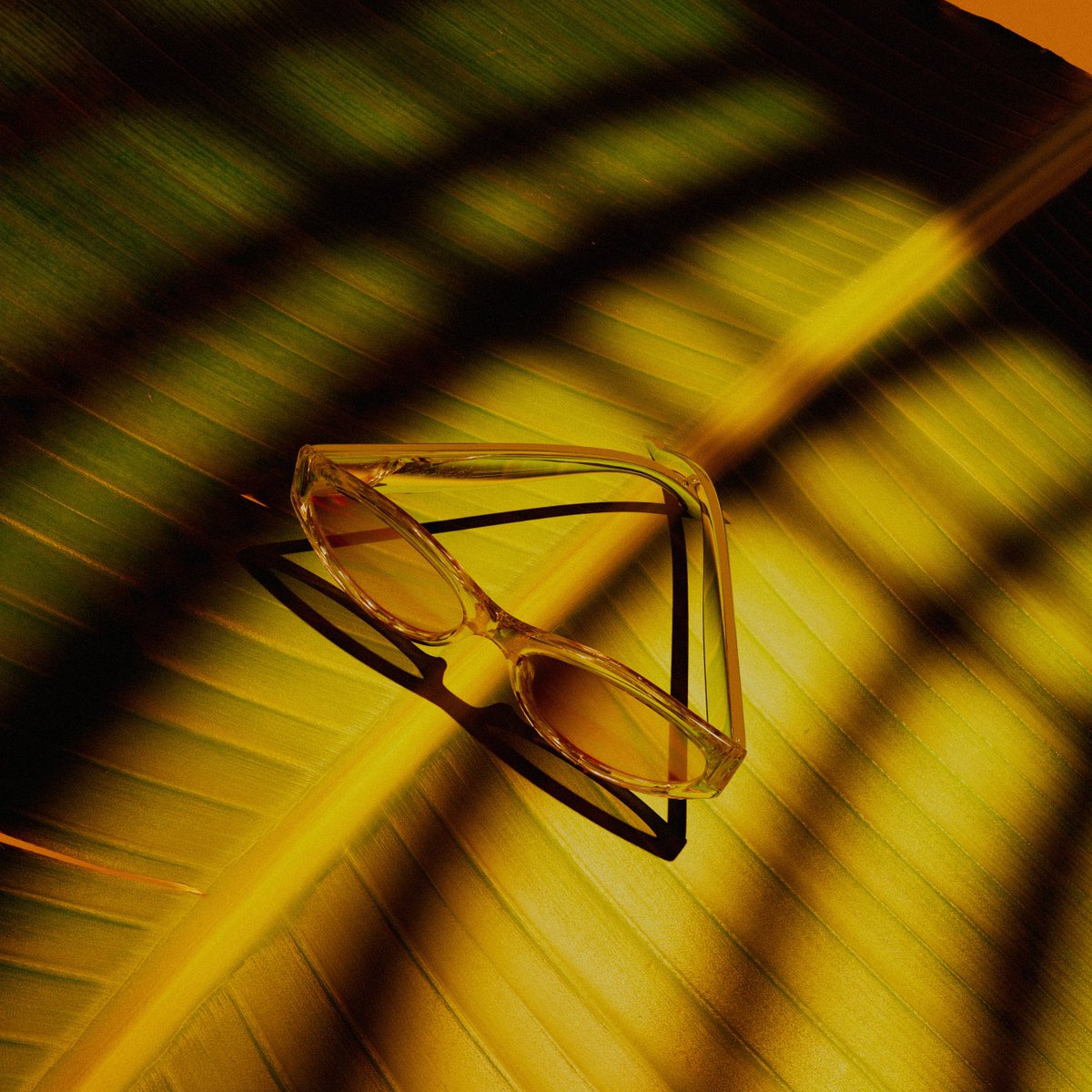 Some product shots i did last week😎.

#digitalart #octanerender #3D