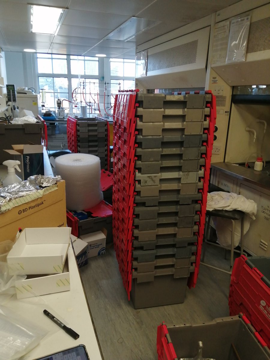 CastagnoloGroup's tweet photo. Time to pack.... 🚛 #movinglab https://t.co/qDTLpYXTOI