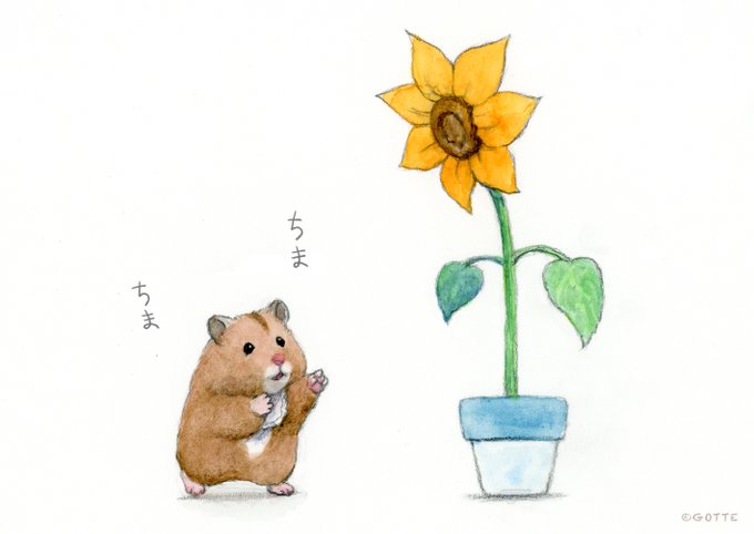 「花 ハムスター」のTwitter画像/イラスト(人気順)