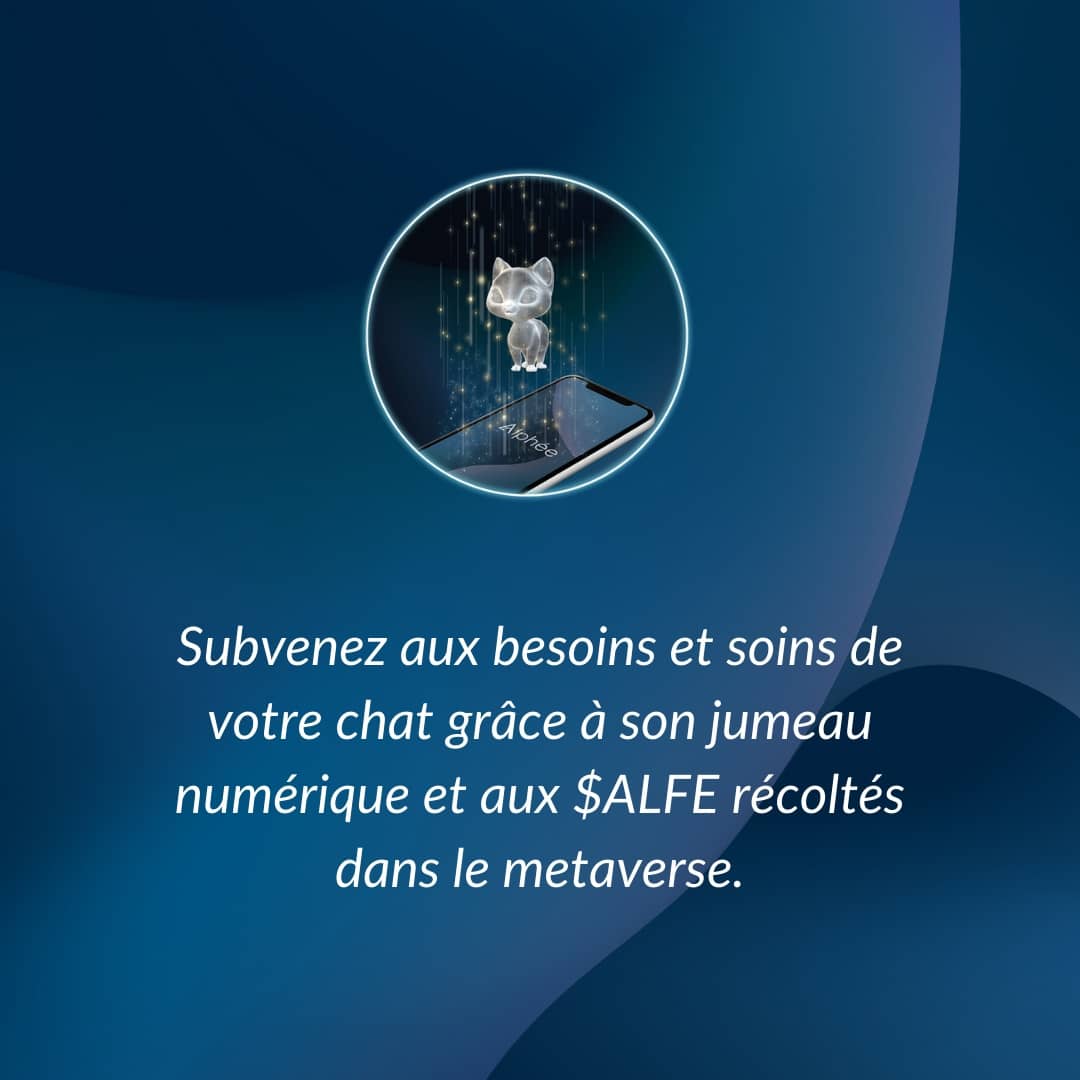 AlpheeApp's tweet photo. @AORUS_France Si vous voulez une vrai Cat Graphique, suivez Alphee @AlpheeApp 🐱 ! https://t.co/yrGf2Fm52N