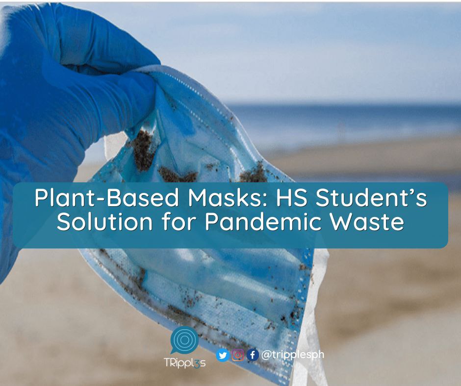 TRipplesPH's tweet photo. Plant-Based Face Mask: A Filipino high school student has developed a plant-based wax that has shown potential in increasing the life span and effectiveness of reusable face masks.

Read more: https://t.co/i6dZeON1NQ https://t.co/tMXgwI6nkQ