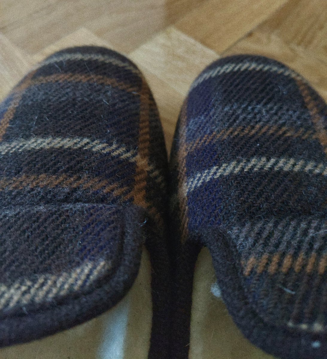 DevouringStars's tweet photo. Reject Crocs, embrace wool supremacy. https://t.co/2ehQPrzDS8