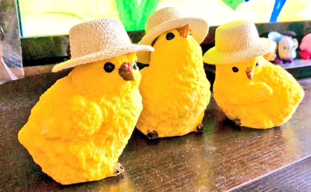pommier1484's tweet photo. ✨新年🐥ポミエ カラアゲ プレゼント✨🐥✨

✨１名の方にポミエ特製国産若鶏のカラアゲ 10キロプレゼント‼️✨🐥🎉🐥✨

✨フォロー+いいね👍+リツイートで応募完了✨🐥✨

✨できれば何かコメントも✨🐥✨(全て🐥は読みますので)

✨締め切りは1月20日(木)まで✨🐥✨ https://t.co/uFPa79rJRg