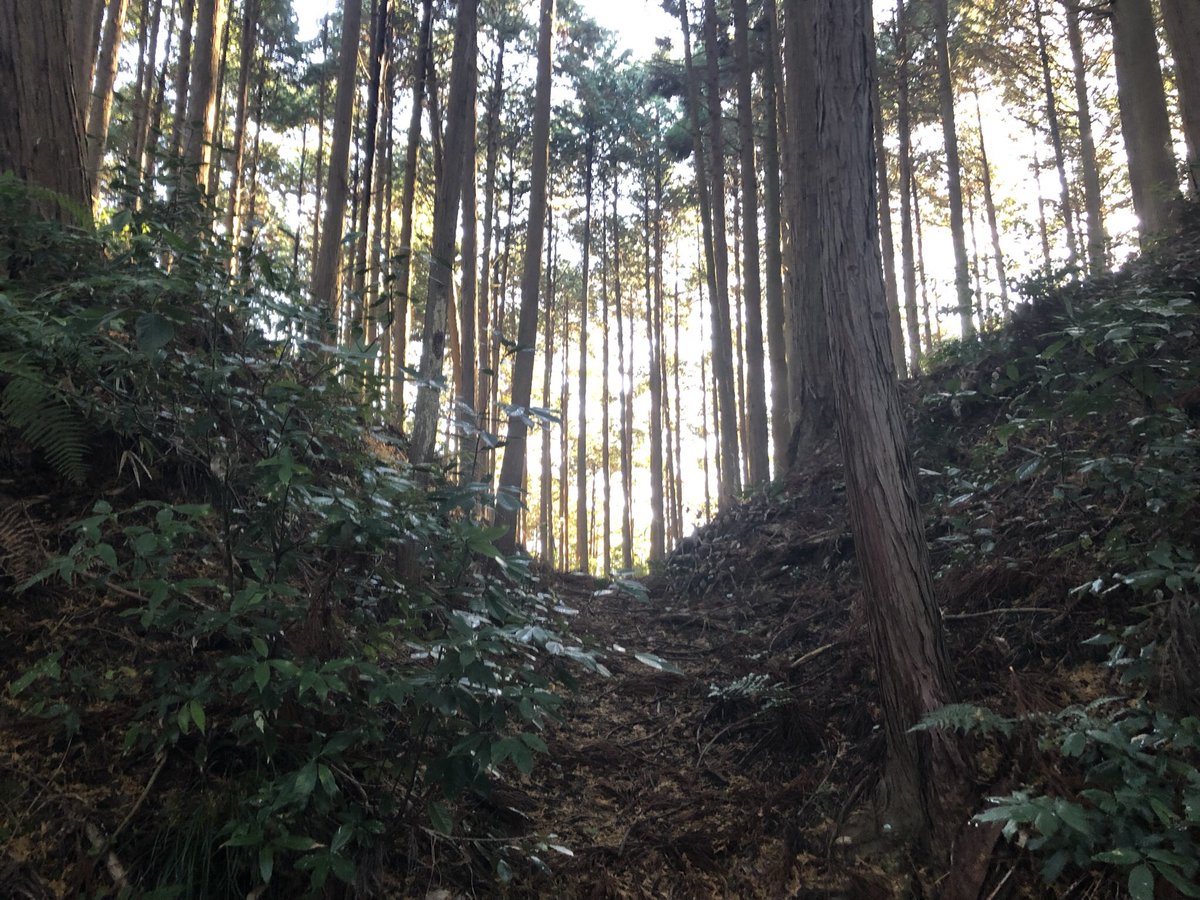 quartz_nbm's tweet photo. 和田城(甲賀市)
甲賀21家に列する土豪和田氏の群中惣です☺️
足利将軍家との強い関係性から、戦国時代には和田惟政が高槻に領地を得て大名化しました。
和田城を中心に、和田支城、公方屋敷など複数の独立した城郭から構成されています❗️
それぞれに大規模な土塁や空堀があり、1日かけて楽しみました。 https://t.co/KGFew3FzDt