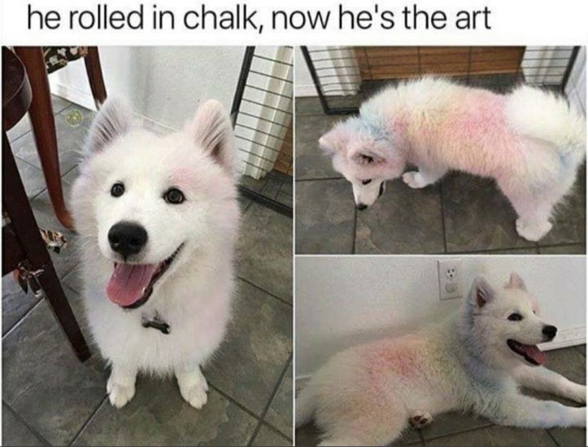 Fluffy Coin tweet media