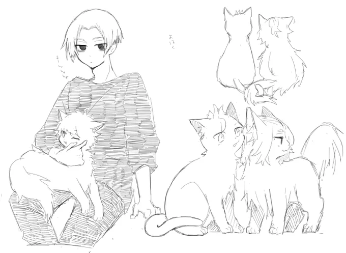 マイ武🐈～～ 