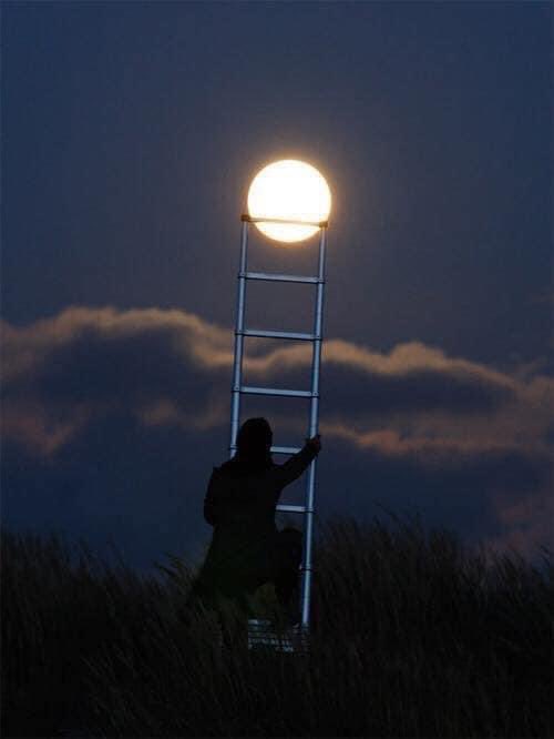 VERO_MIER's tweet photo. Prometió bajarle la luna y le dijo que bastaba con un terrón de azúcar,en vez de una ilusión imposible prefiere los cristales de una esperanza #Cuentitos https://t.co/FCgNp4nO8m
