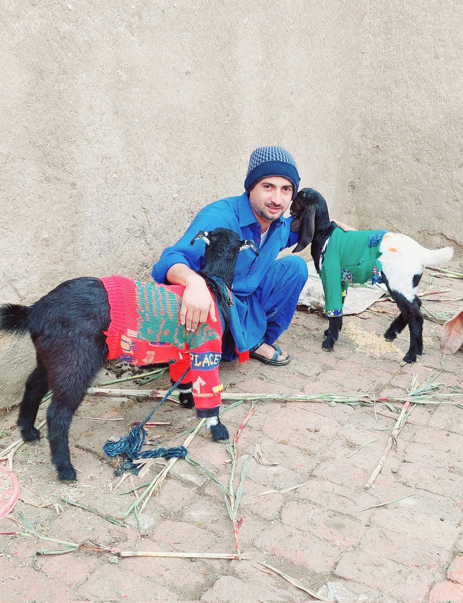 RustmaniWaris's tweet image. 